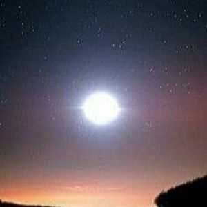 Meet your Posher, Gena